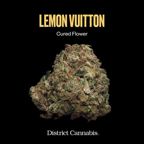 lemon vuitton weed strain.